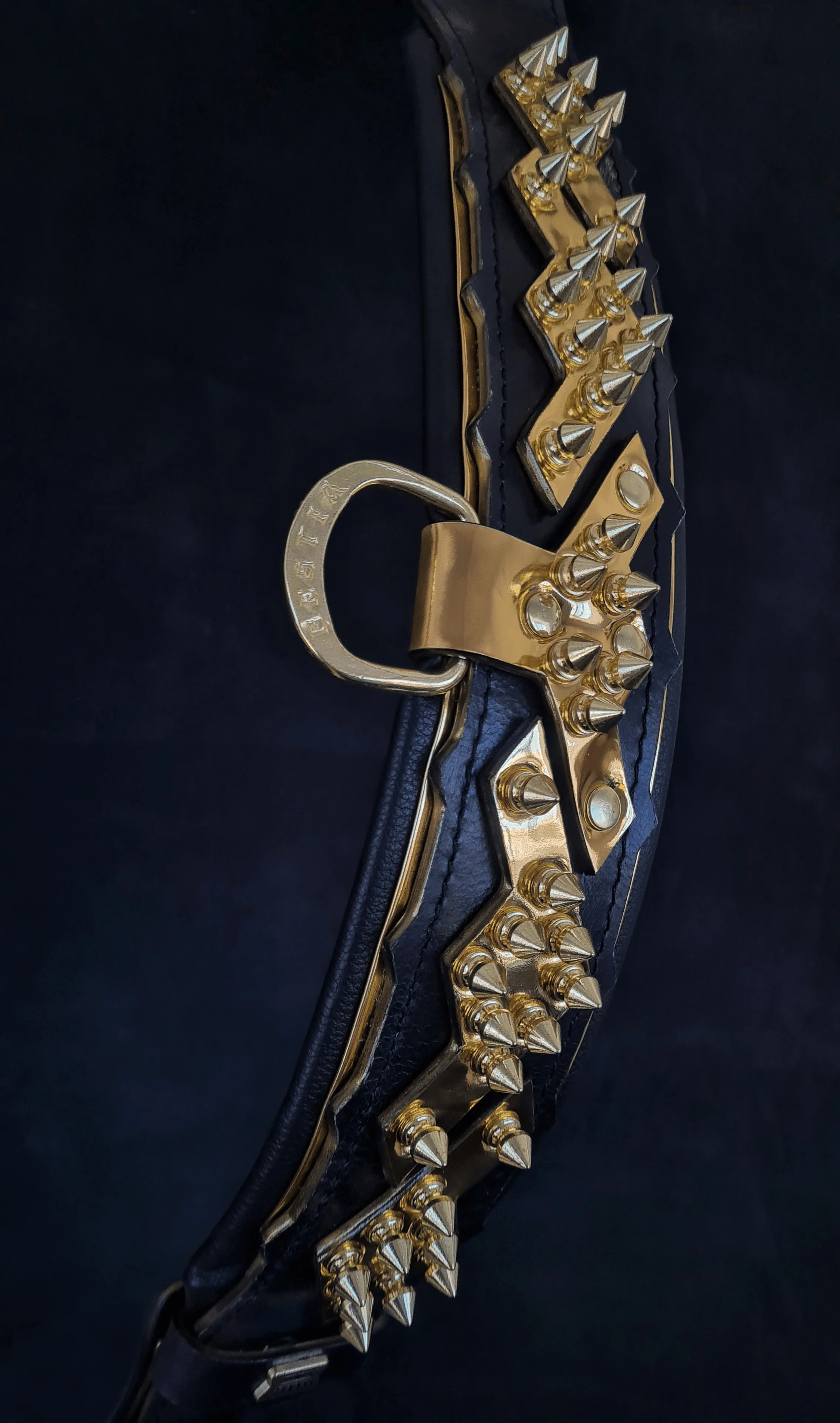 The "Midas" Dog Collar. Gold - Image 2