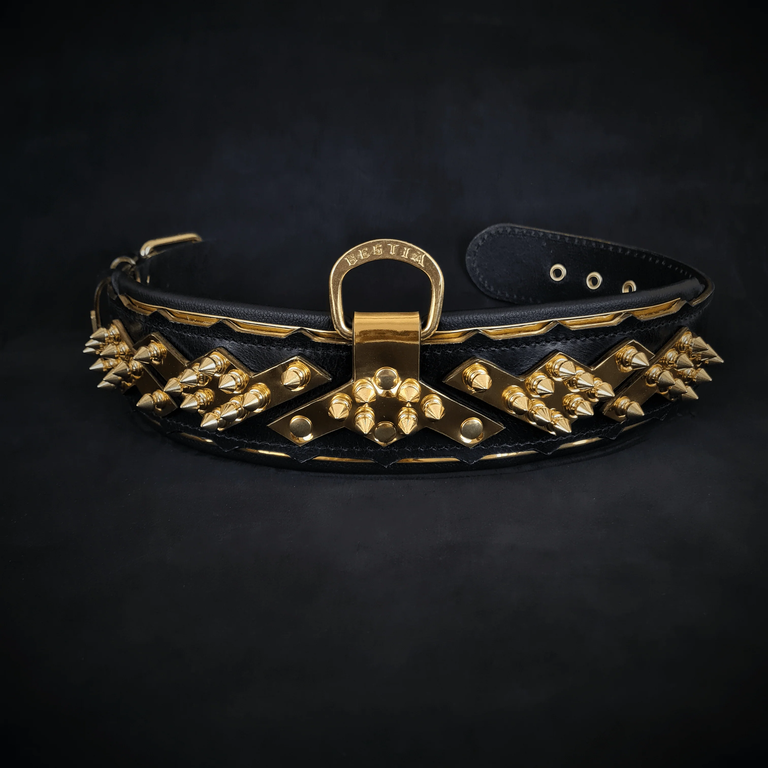 The "Midas" Dog Collar. Gold - Image 3