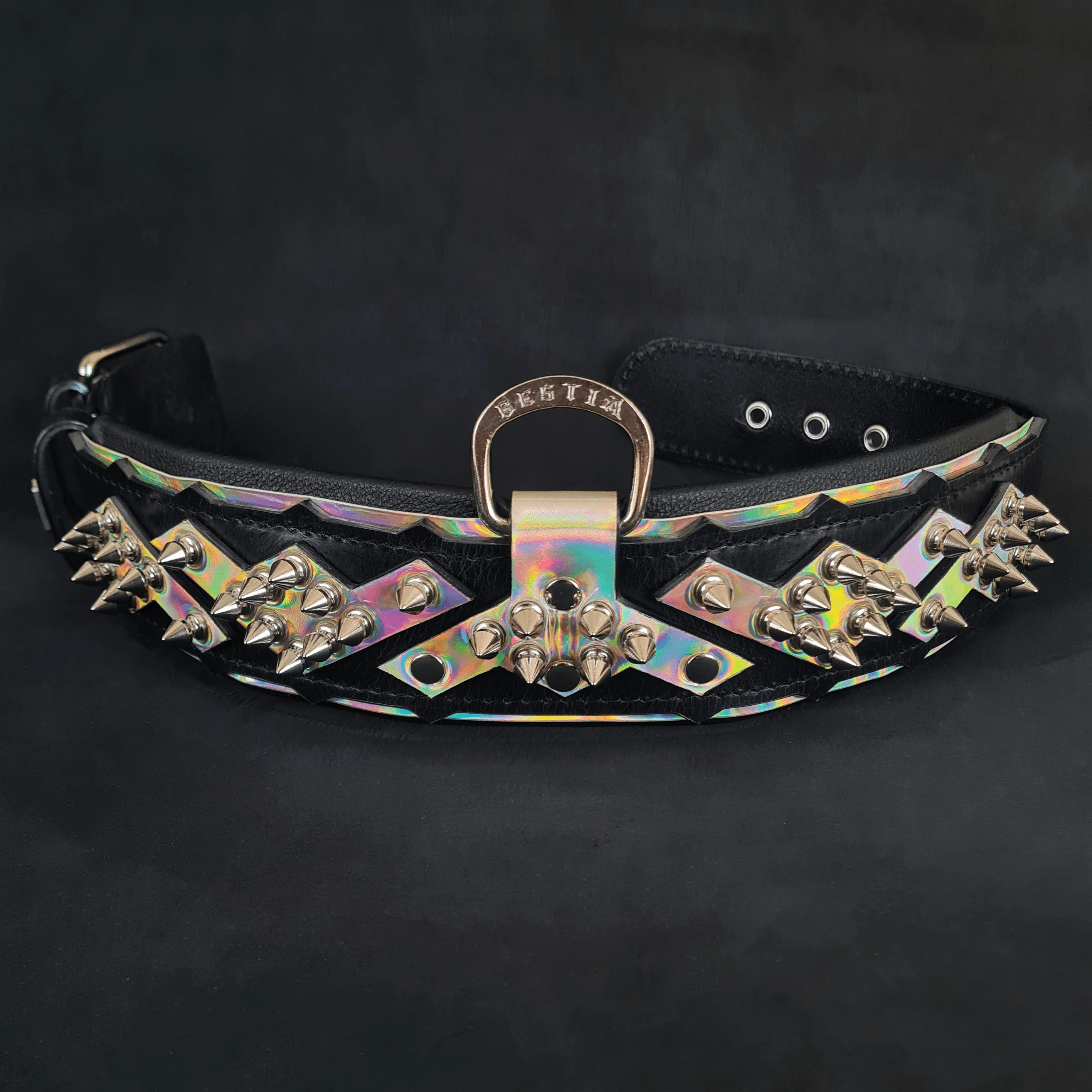 The "Midas" Dog Collar Silver - Image 2