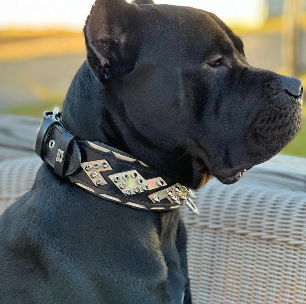 The "Midas" Dog Collar Silver - Image 4