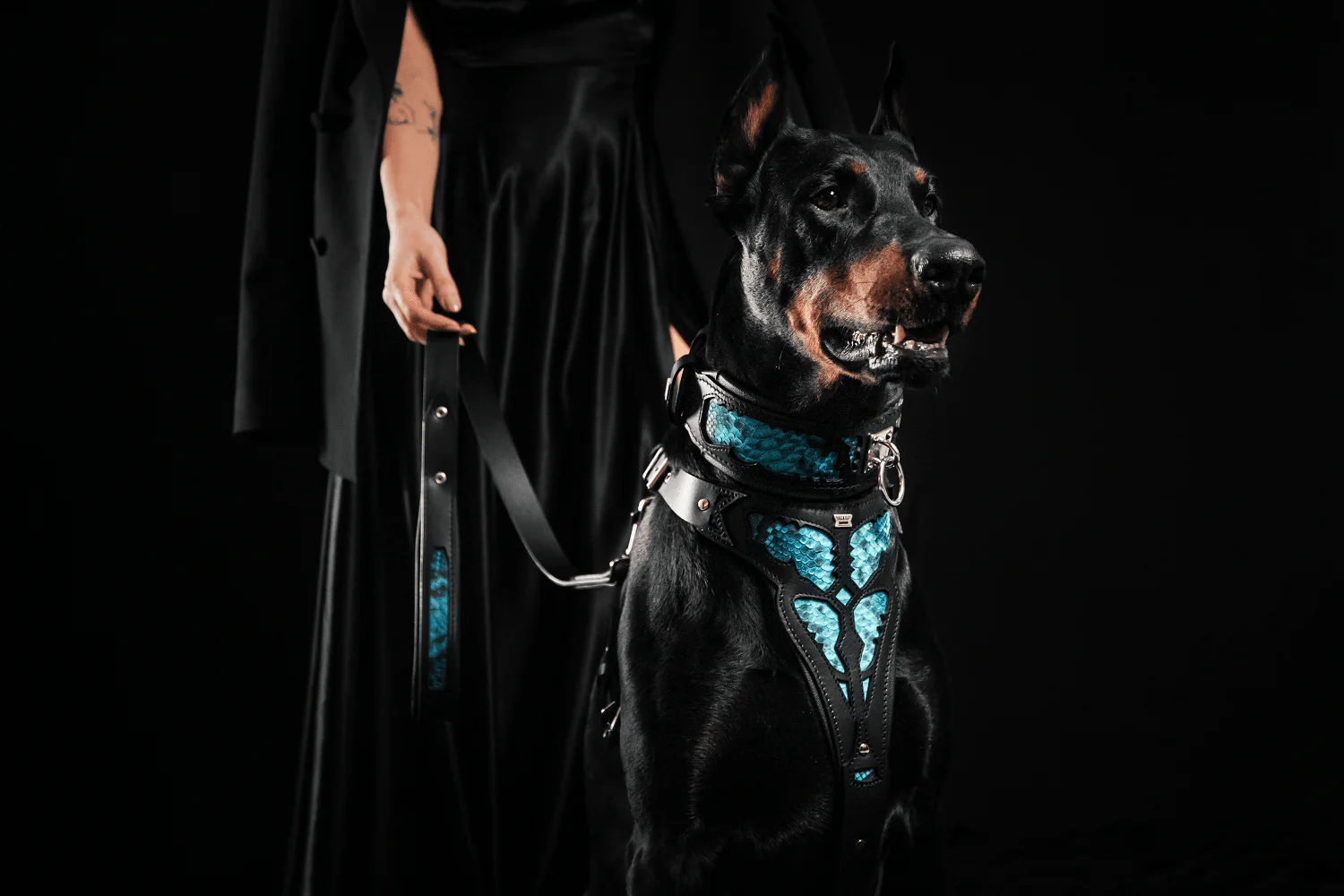 The "Morelia Python" Dog Collar - Image 6