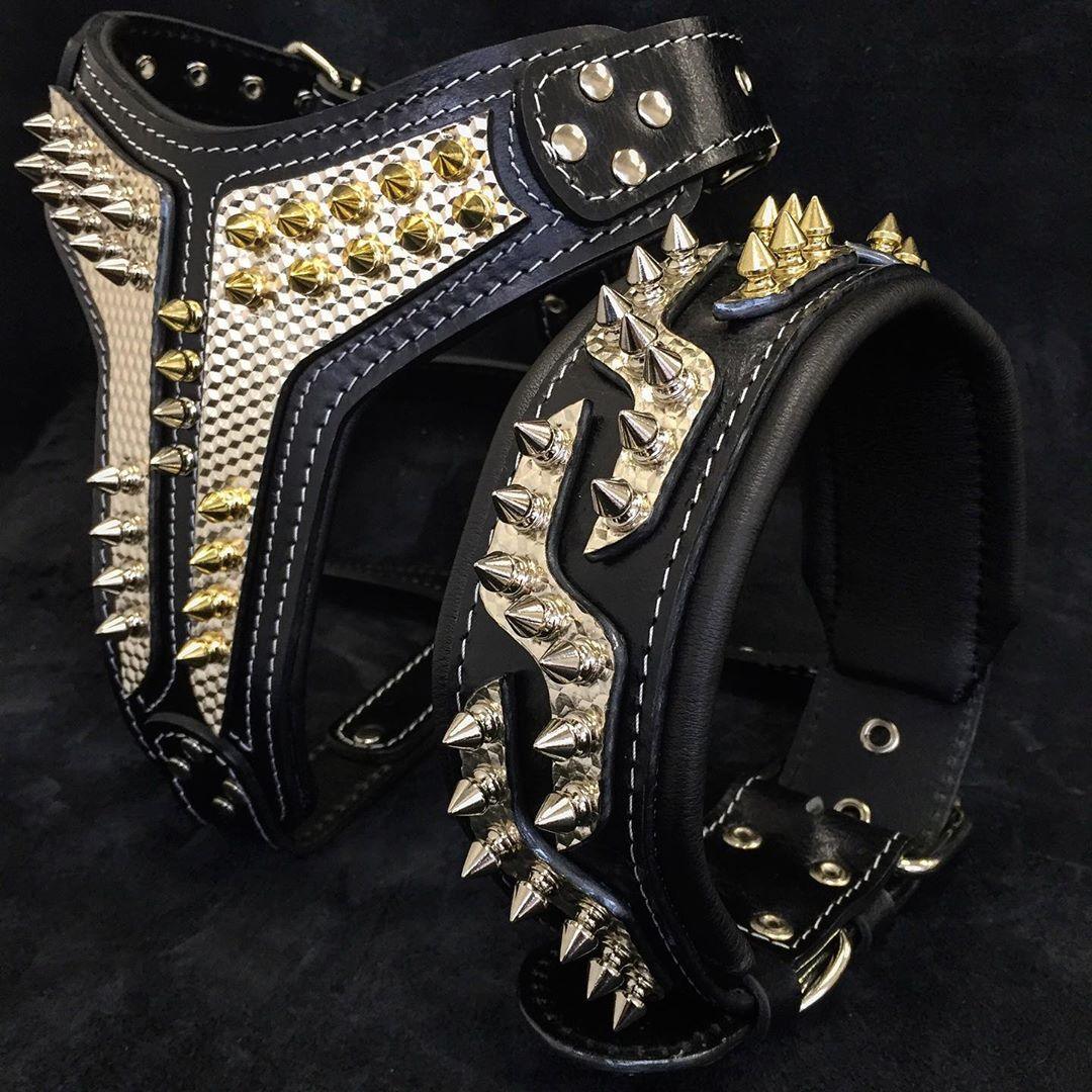 The "Platinum" Dog Collar - Image 3