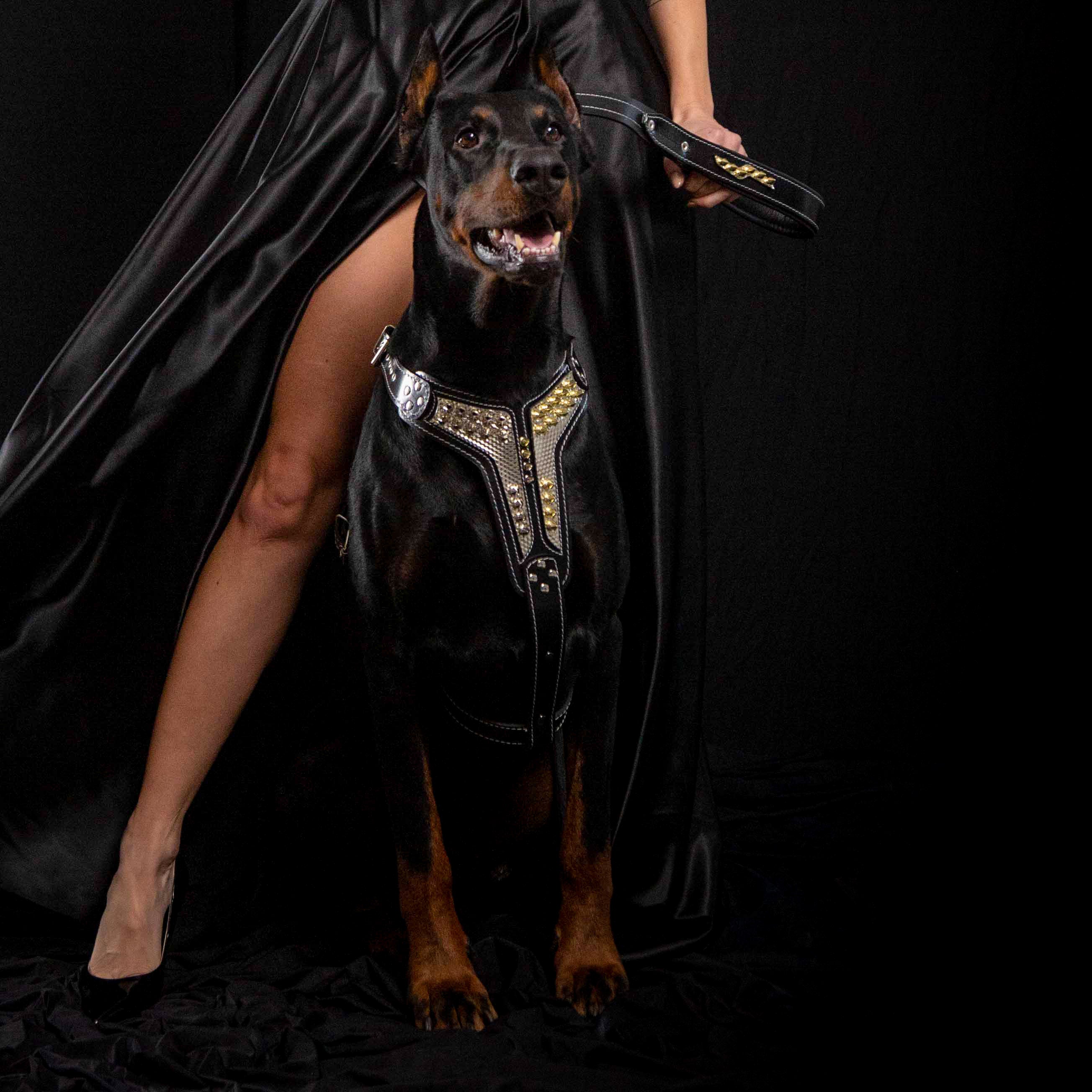 The "Platinum" Dog Harness - Image 3