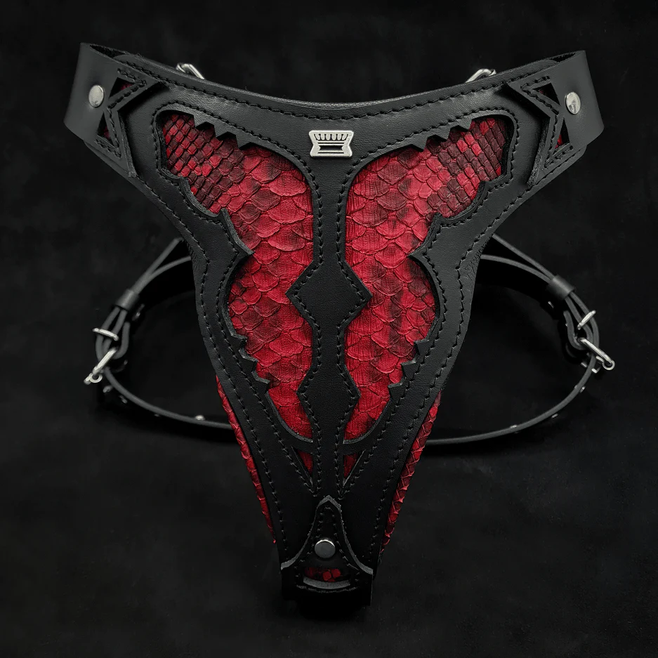 The "Red Dragon" Dog Harness