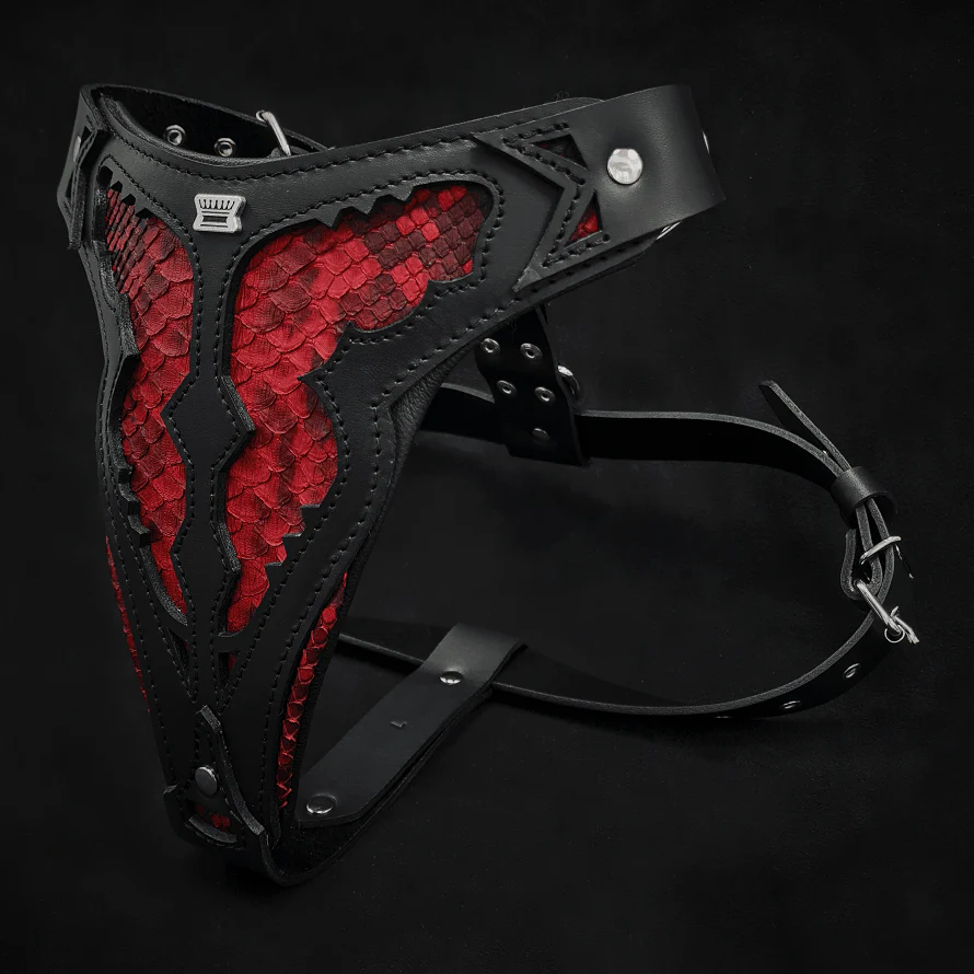The "Red Dragon" Dog Harness - Image 2