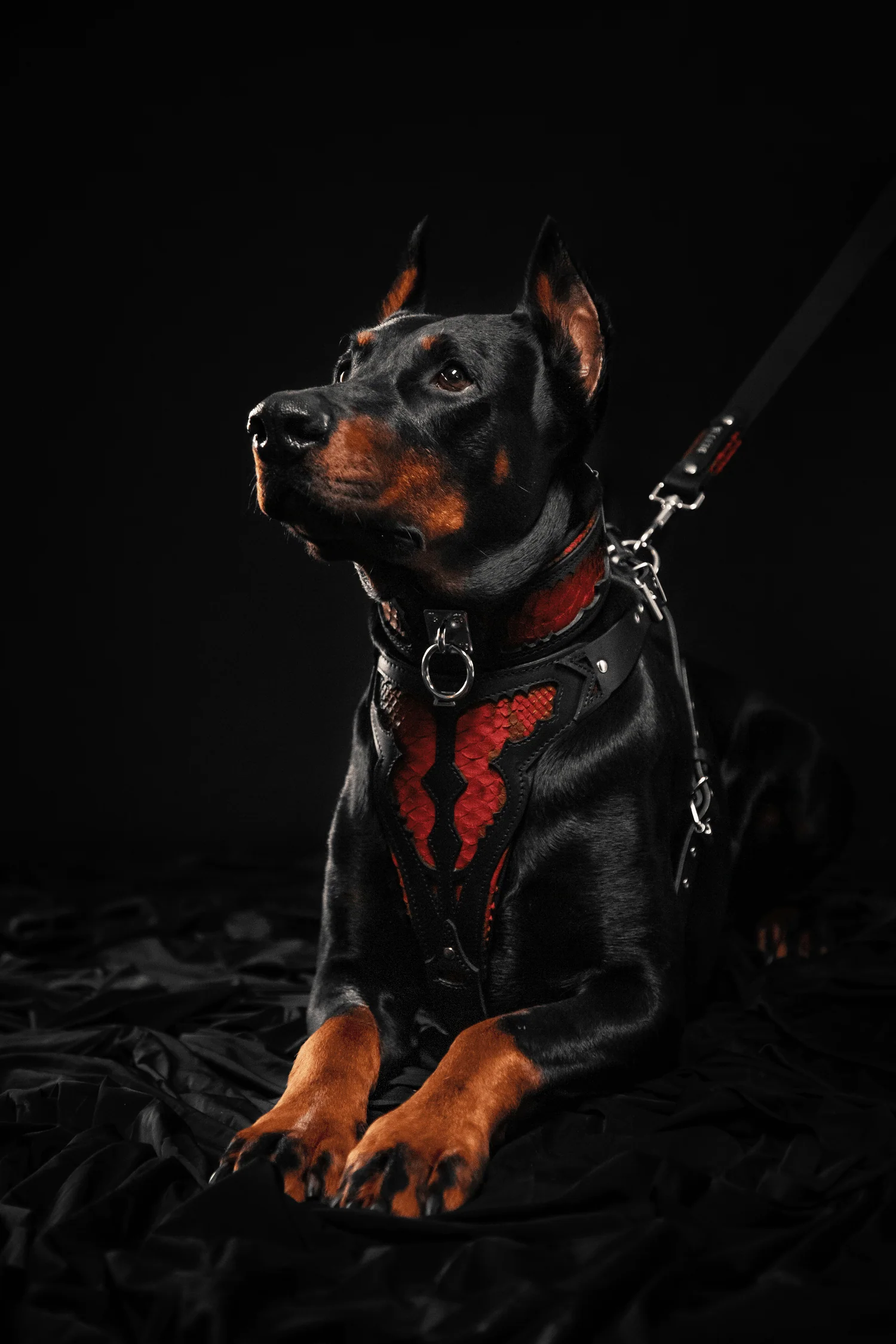 The "Red Dragon" Dog Harness - Image 4