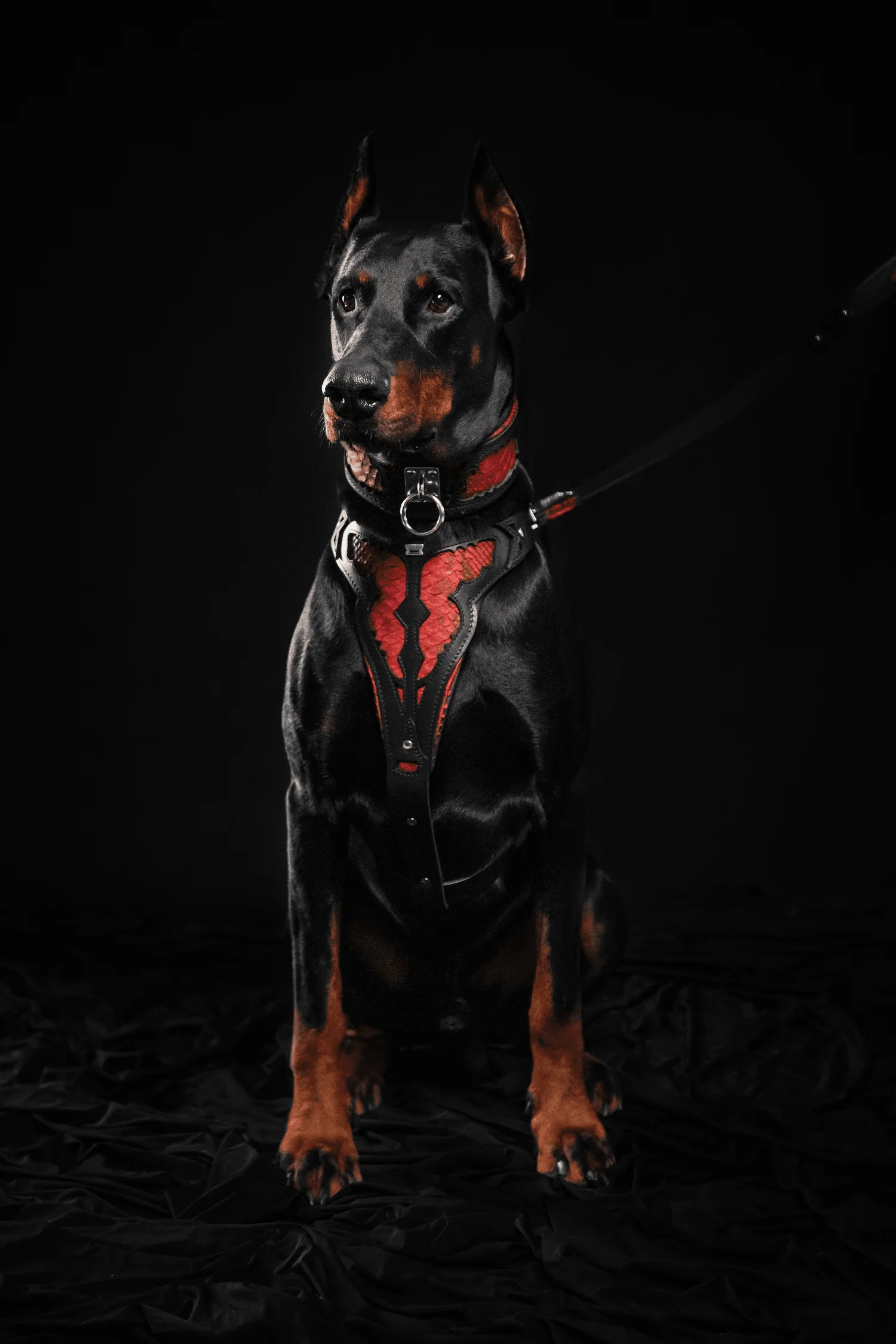 The "Red Dragon" Dog Harness - Image 5