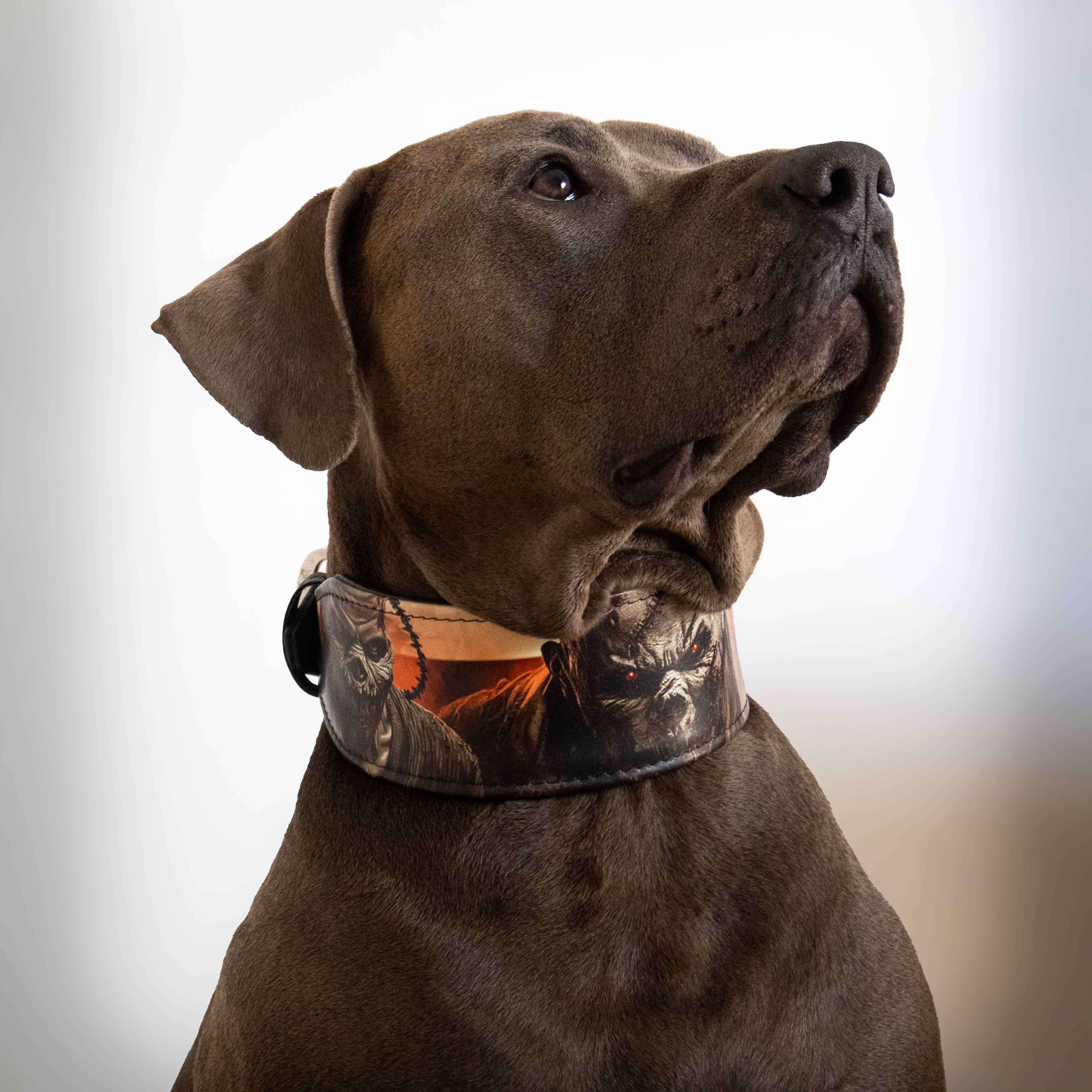 The "Scare" Dog Collar Limited - Image 5