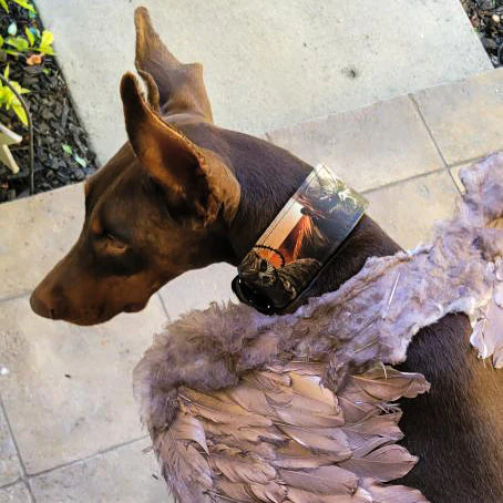 The "Scare" Dog Collar Limited - Image 8