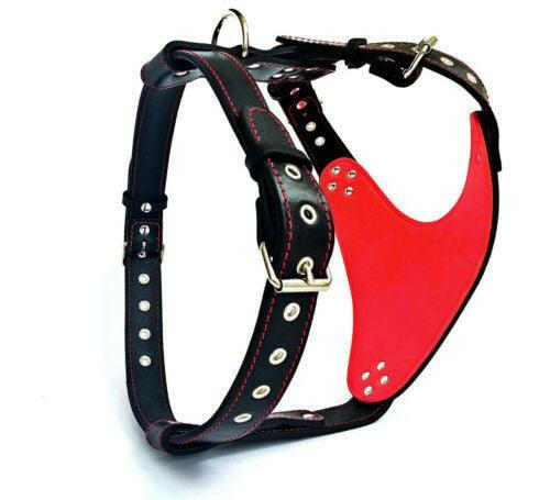 The "Steel" Dog Harness - Image 2