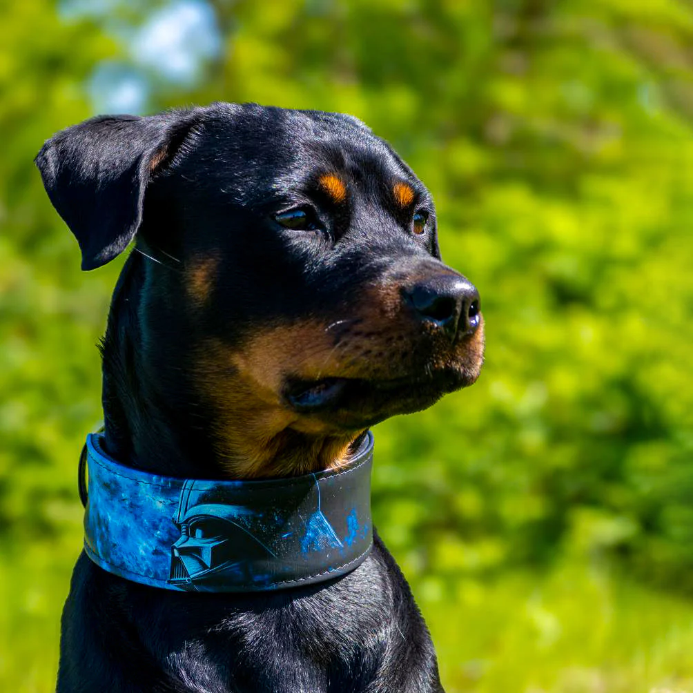 The "Vader" Limited Dog Collar - Image 4
