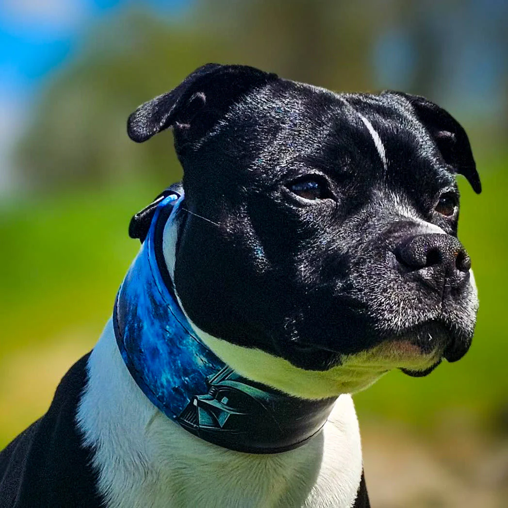 The "Vader" Limited Dog Collar - Image 5