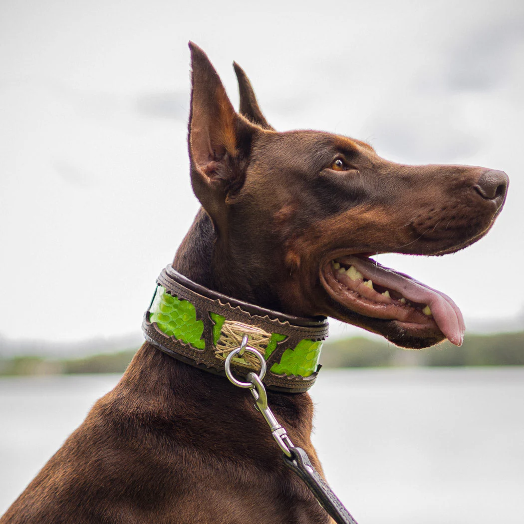 The ''Venom'' Dog Collar - Image 4