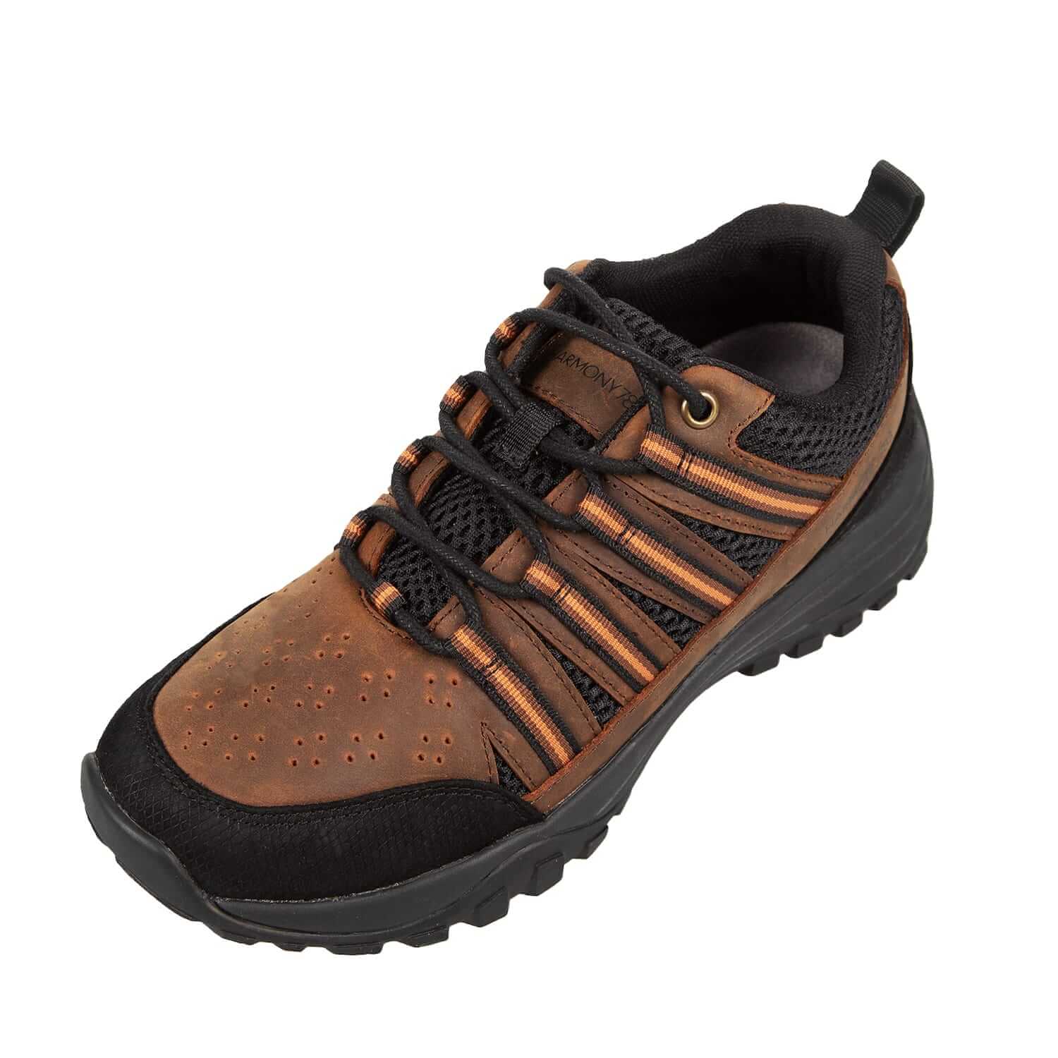 Trail Shoe Grounding Shoes • Jesse Brown Leather & Black Mesh - Image 4