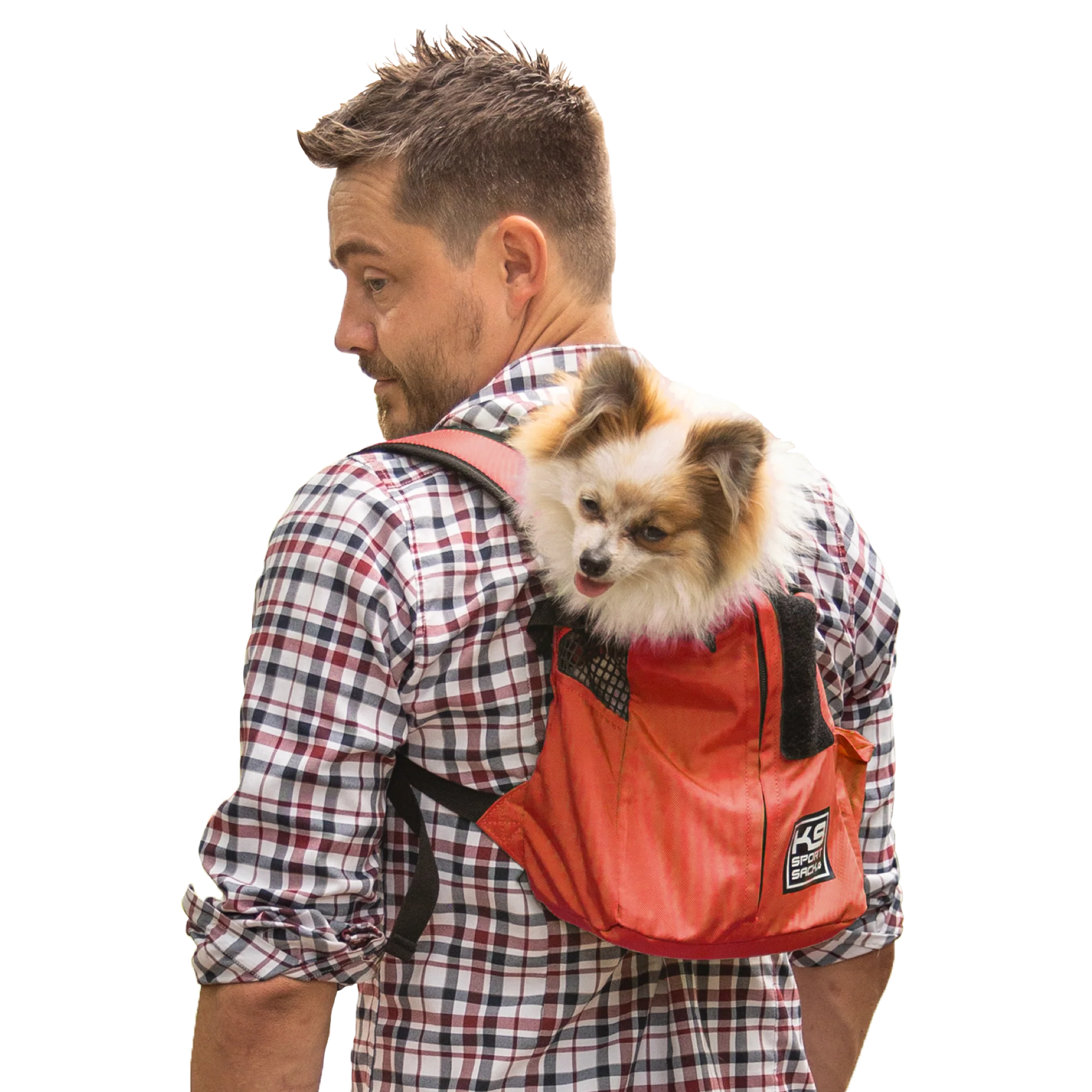 Trainer | Puppy & Small Dog Carrier - Image 9