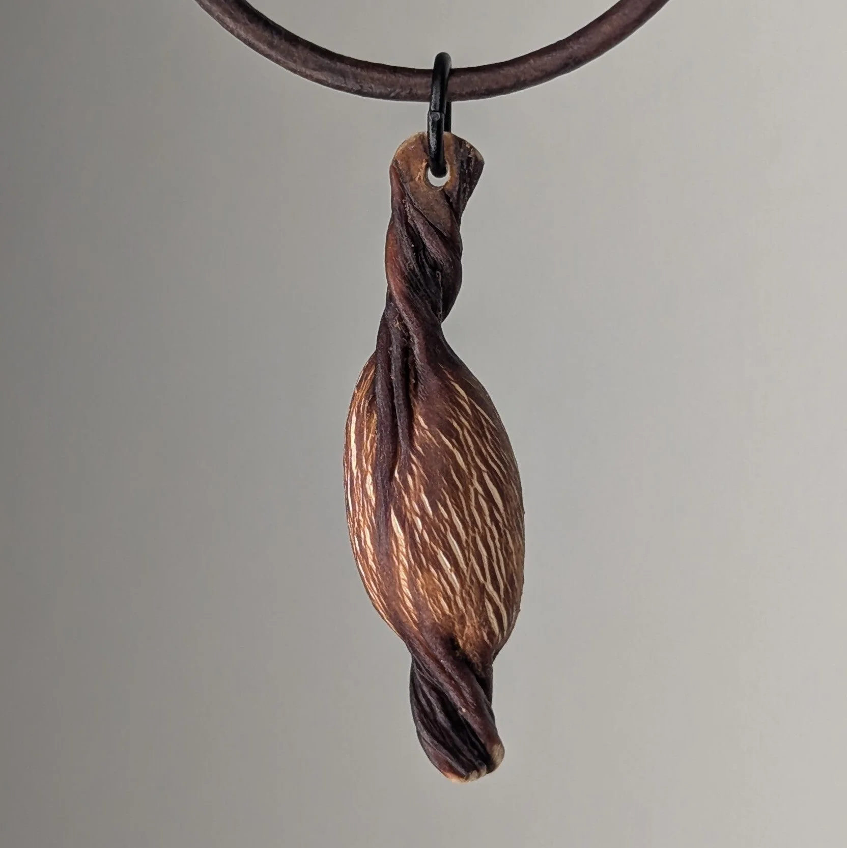 Turbinophycis Pendant Necklace - Image 2