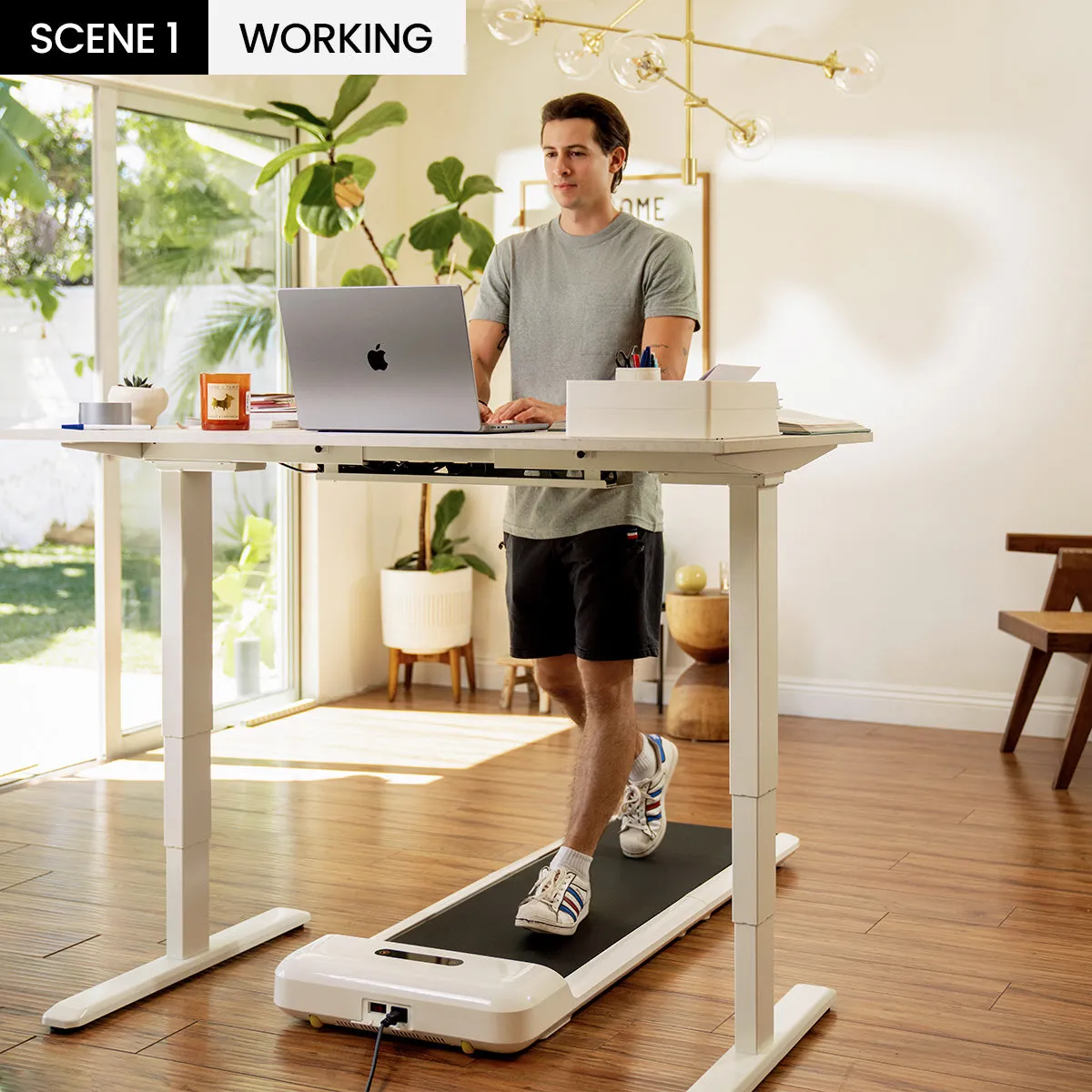 WalkingPad C2 Mini Foldable Walking Treadmill - Image 3